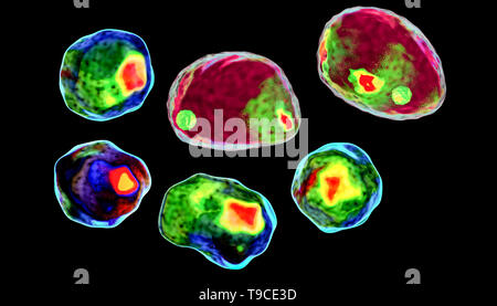 Les cellules, illustration conceptuelle Banque D'Images