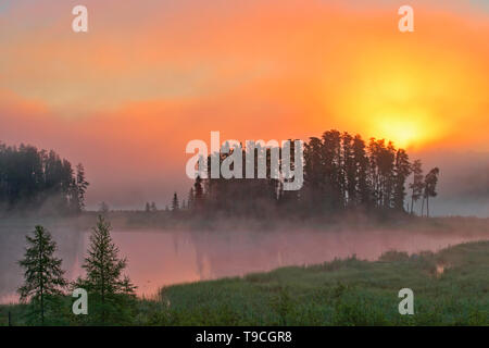 Le brouillard au lever du soleil sur le lac Kenora Ontario Canada Isabel Banque D'Images