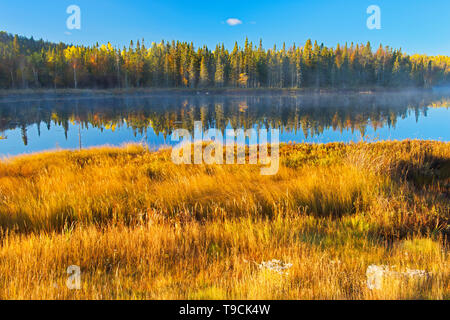 Couleurs d'automne le long de la rivière Vermilion dans le district de Sudbury, la rivière se jette dans le lac Huron, Ontario Canada Whitefish Banque D'Images