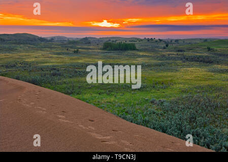 Ciel d'orage à l'aube avec vue sur le paysage des prairies à partir du haut de la Great Sandhills Great Sandhills Saskatchewan Canada Banque D'Images