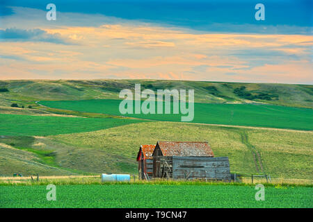 Vieille ferme au crépuscule de Jct Hwy 1 et 32 Saskatchewan Canada Banque D'Images