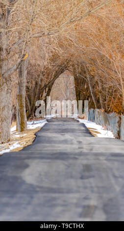 Route pavée long vertical dans la forêt enneigée bordée d'arbres et de clôture vue en hiver Banque D'Images