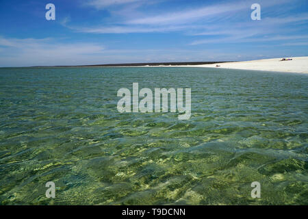 Longue plage Blanche-neige bordée par les eaux de l'océan bleu aqua. Shell Beach est l'une des deux plages de shell semblable dans le monde. Banque D'Images