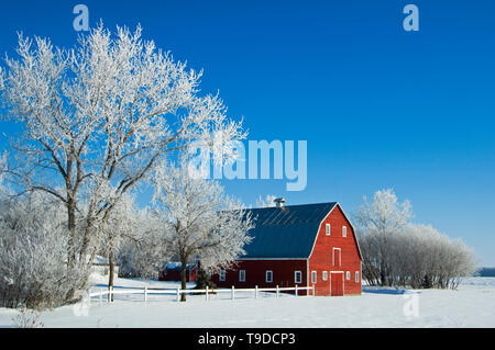 Le givre et la grange rouge Grande Pointe Manitoba Canada Banque D'Images