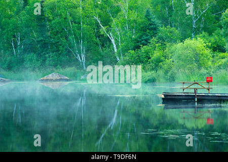 Table de pique-nique et dock, rivière Fraser, Latulipe, Québec, Canada Banque D'Images