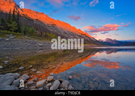 La lumière sur la dernière gamme Colin reflété dans le lac Medicine Jasper National Park, Alberta, Canada Banque D'Images