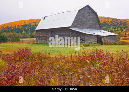 Grange, les terres agricoles et la forêt acadienne au feuillage de l'automne. Près de Edmunston. Le comté de Madawaska, Rolling hills. Saint-Jacques Nouveau-Brunswick Canada Banque D'Images