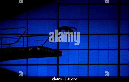 Silhouette de diver à partir de la plate-forme de 10m au cours de la deuxième journée de la plongée sous-marine World Series à Londres, Londres centre aquatique. Banque D'Images