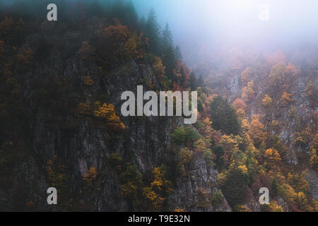 Brumeux et moody automne paysage d'automne dans les Vosges, France. Les arbres colorés et d'une falaise rocheuse de paysage. Banque D'Images