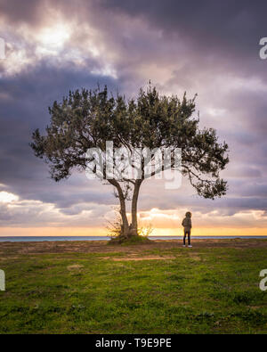 Image d'un arbre isolé et un homme sur une plage et un ciel dramatique au coucher du soleil. Banque D'Images