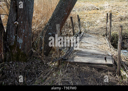 L'abandon au cours de la passerelle sur le ruisseau de fond envahi par des arbustes et des arbres. Banque D'Images