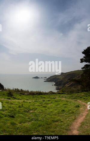 Coleton Fishacre est une propriété composé d'un jardin de 24 acres et d'une maison, la propriété a été dans la propriété de la National Trust depuis 1982. Banque D'Images