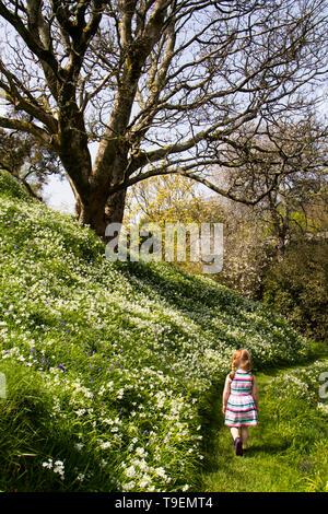 Coleton Fishacre est une propriété composé d'un jardin de 24 acres et d'une maison, la propriété a été dans la propriété de la National Trust depuis 1982. Banque D'Images