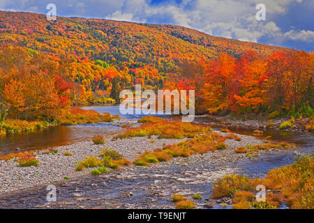 La Rivière du Nord et la forêt acadienne à l'automne feuillage Rivière North Nova Scotia Canada Banque D'Images