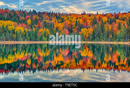 Couleurs de l'automne reflète dans Lac Modène. Grands Lacs - Fleuve Saint-Laurent région forestière. Le Parc National de la Mauricie, Québec Canada Banque D'Images