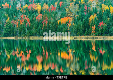 Couleurs de l'automne reflète dans Lac Modène. Grands Lacs - Fleuve Saint-Laurent région forestière. Le Parc National de la Mauricie, Québec Canada Banque D'Images