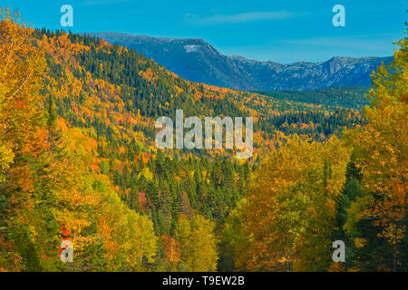 Couleurs d'automne dans les monts Chic-Choc, une chaîne de montagnes qui s'inscrit dans les monts Notre-Dame, qui est une continuation de la chaîne des Appalaches. Il s'agit d'un parc provincial, pas un vrai parc fédéral. Le parc national de la Gaspésie Québec Canada Banque D'Images