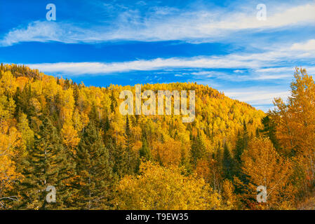 Couleurs d'automne dans les monts Chic-Choc, une chaîne de montagnes qui s'inscrit dans les monts Notre-Dame, qui est une continuation de la chaîne des Appalaches. Il s'agit d'un parc provincial, pas un vrai parc fédéral. Le parc national de la Gaspésie Québec Canada Banque D'Images