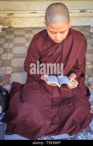 Une nonne birmane la lecture d'un livre Banque D'Images