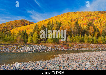 Couleurs d'automne et la rivière Sainte-Anne dans le Montagne Chic-Choc, une chaîne de montagnes qui s'inscrit dans les monts Notre-Dame, qui est une continuation de la chaîne des Appalaches. Il s'agit d'un parc provincial, pas un vrai parc fédéral. Le parc national de la Gaspésie Québec Canada Banque D'Images