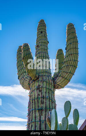 Saguaro cactus éclairé avec des lumières de Noël multicolores enroulé autour d'elle avec un ciel bleu en plein jour Banque D'Images