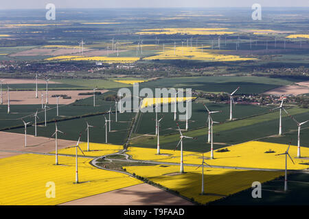 Altentreptow, Allemagne. 14 mai, 2019. Il y a un grand parc éolien à droite et à gauche de l'autoroute a20. Crédit : Bernd Wüstneck/dpa-Zentralbild/dpa/Alamy Live News Banque D'Images