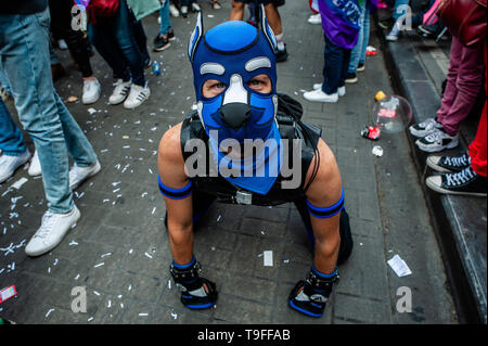 Bruxelles, Brabant du Nord, en Belgique. 18 mai, 2019. Un homme est vu portant un masque de chien pendant la parade.La 24e Belgian Pride Parade a eu lieu à Bruxelles et il a débuté à 13:45 pm de la fierté Village sur le Mont des Arts, et il a été dirigé par CesÃ¡r Sampson, un chanteur de l'année dernière à l'Eurovision. Le thème de la fierté belge 2019 est 'Tous pour un'. Plus de 100 000 personnes ont assisté à l'événement et les parties autour du centre de la ville. Credit : Ana Fernandez/SOPA Images/ZUMA/Alamy Fil Live News Banque D'Images