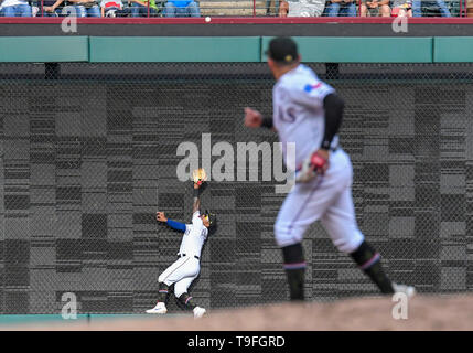 Arlington, États-Unis. 18 mai, 2019. Le voltigeur des Texas Rangers va contre le mur pour tenter d'attraper un double par Saint Louis Cardinals joueur Matt Carpenter # 13 mais a finalement décidé d'un lit après un défi qui a renversé l'appel dans le haut de la cinquième manche au cours d'un match entre l'interleague MLB Cardinals de Saint-Louis et les Texas Rangers à Globe Life Park à Arlington, États-Unis. Louis défait Texas 8-2 Albert Pena/CSM/Alamy Live News Banque D'Images