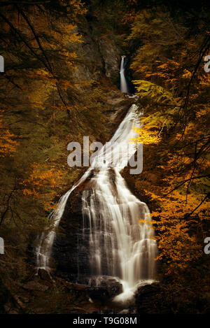 Cascade dans les bois à l'automne dans le Vermont Banque D'Images