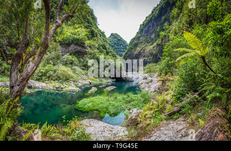 Vue sur vallée secrète "Takamaka", La Réunion Banque D'Images