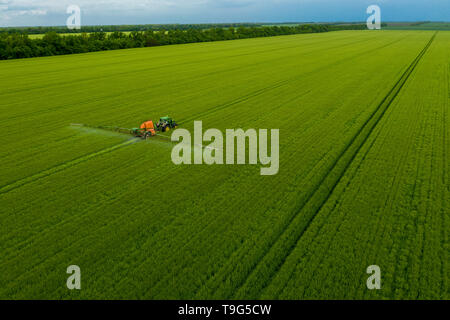 La Russie, l'Gaymanovskaya - 12 mai 2019 : Un tracteur est sur le terrain. L'agriculture moderne. L'utilisation des nouvelles technologies dans l'agriculture. Vue aérienne. Banque D'Images