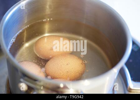 Dans l'eau bouillante les œufs dans une casserole Banque D'Images