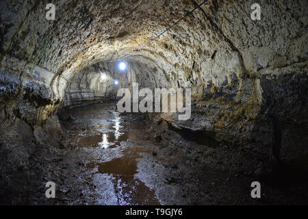 Tunnel de lave lumineux avec sol humide dans les Galapagos île de Santa Cruz, sur la façon de Puerto Ayora, Galapagos Islands National Park, de l'Équateur. Banque D'Images