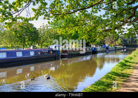 Macclesfield péniches , voie navigable, Cheshire, Angleterre, RU, FR Banque D'Images