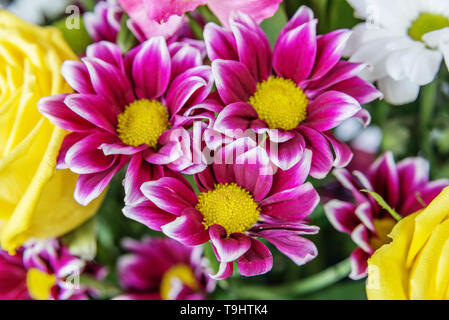 Bouquet de fleurs différentes (rose jaune et marron) chrysanthème close-up Banque D'Images