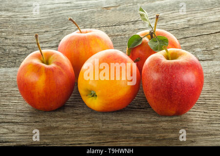 Pommes Elstar rouge jaune venu sur bois rustique Banque D'Images