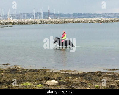 Portland, Dorset, UK. 19 mai 2019. Un cheval paddles à Portland harbor sur une journée humide mais doux. Crédit : Stuart fretwell/Alamy Live News Banque D'Images