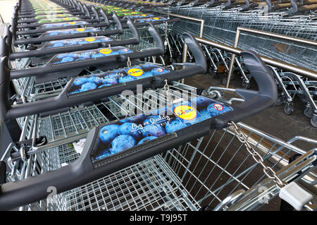 United Kingdom. 19 mai, 2019. Un chariot dans un magasin Lidl, l'un des dix chaînes de supermarché/marques au Royaume-Uni. Credit : Keith Mayhew SOPA/Images/ZUMA/Alamy Fil Live News Banque D'Images