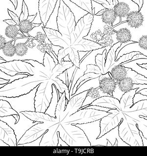 Vecteur de ricin sur fond blanc Illustration de Vecteur