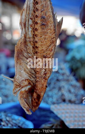 Poisson salé séché à vendre à traditionnel Marché aux poissons, l'Indonésie Banque D'Images