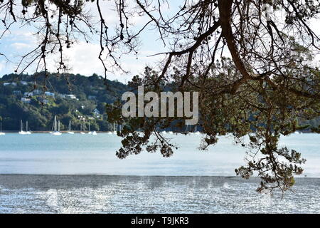 Vue sur l'eau calme du port à marée basse à partir de ci-dessous des branches de pins. Banque D'Images