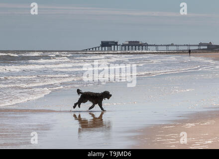 East Runton Beach à l'Est de la jetée de Cromer, North Norfolk, l'East Anglia. Banque D'Images