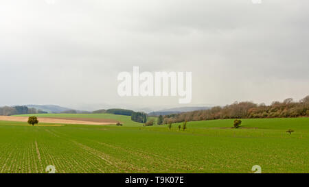 Paysage avec du brouillard et de sombres nuages sur les champs verts et les collines avec des forêts des Ardennes à Liège, Belgique Banque D'Images