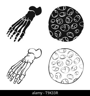 Fibre,pieds,sain,cheville,scientifique,la podologie,avant-pied,muscle épithélium,DE,panneaux,épiderme,les pieds plats,mouvement,tendon,cell,tissu,dommage,structure,médecine,clinique,biologie,médical,os,,squelette anatomie,des,organes,,set,icône,,illustration,collection,isolé,design,graphisme,élément,signe, vecteurs vecteur , Illustration de Vecteur