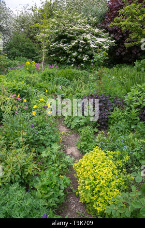 English Chalet jardin à la mi-mai. Une abondance de la plantation d'arbustes et des vivaces. Banque D'Images