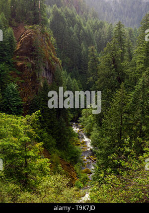 North Umpqua river stream le long de la Toketee Falls trail. North Umpqua paysages forestiers nationaux, Oregon, USA. Banque D'Images