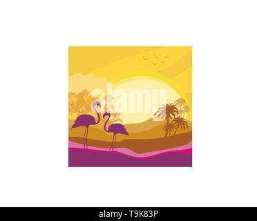 Flamingo couple dans wild nature paysage Illustration de Vecteur