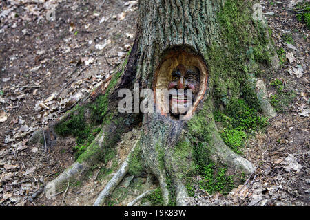 Visage sculpté dans un tronc d'arbre, Steckeschlääfer-Klamm, Binger forêt, Bingen sur le Rhin, Rhénanie-Palatinat, Allemagne Banque D'Images