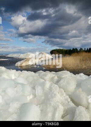 Le vent glace lac entassés près de la rive du lac Peïpous au printemps, l'Estonie, avril. Banque D'Images