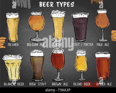 Hand drawn det de différents types de verres de bière sur le tableau situé à l'arrière-plan Illustration de Vecteur